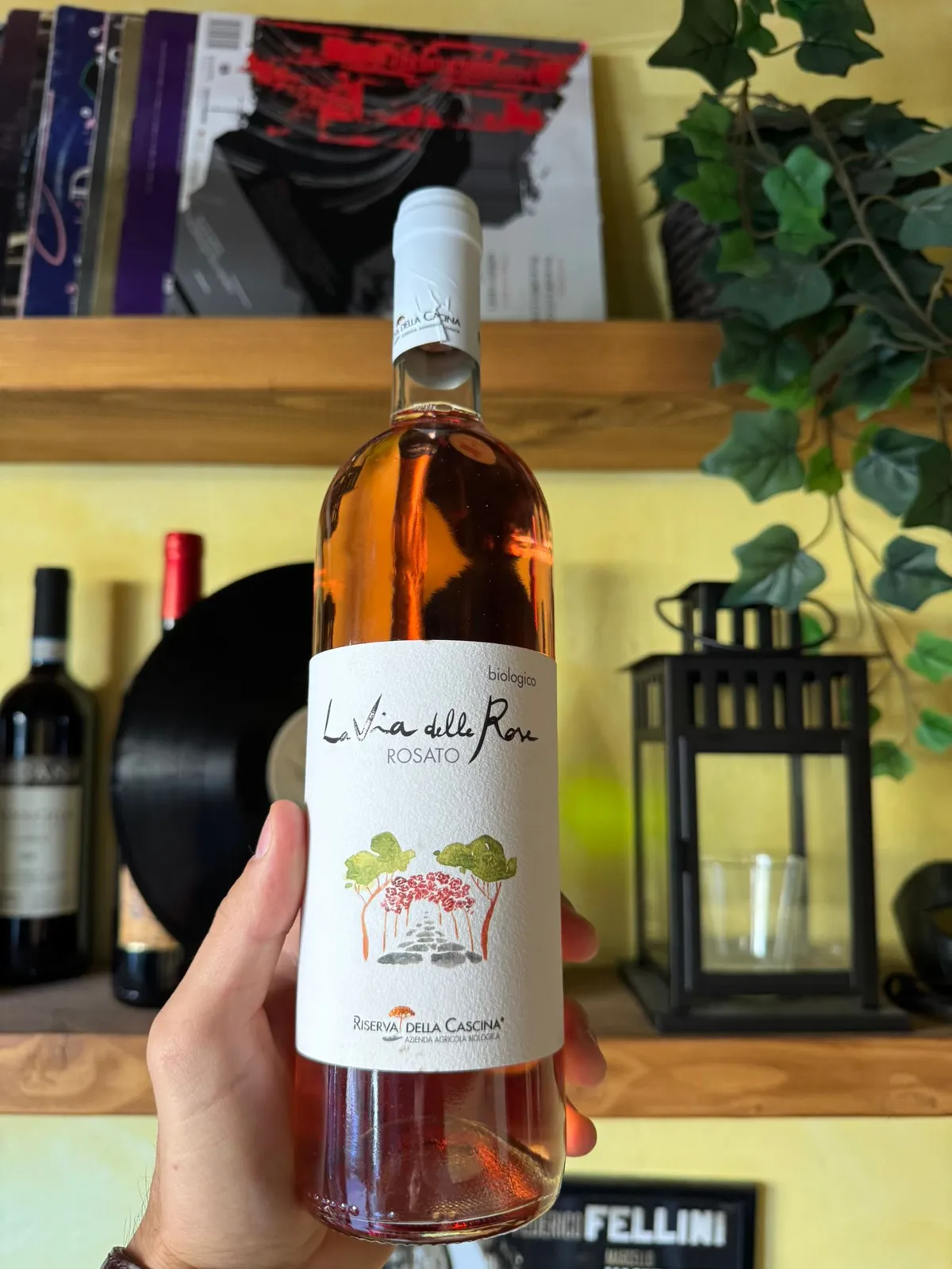 Calici di vino naturale – aperitivo a Roma Alberone